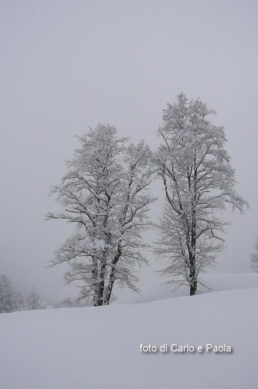 coppie bianche